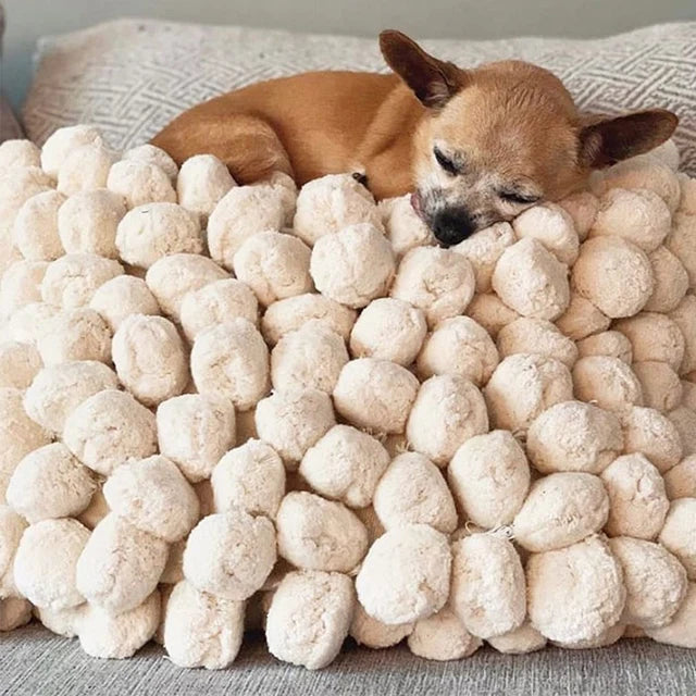 Cotton Candy Cushion