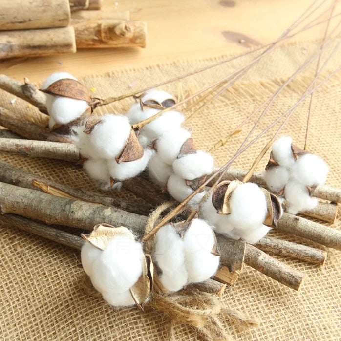 Cotton Flower