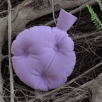 Puffy Pillow Ceramic Vase