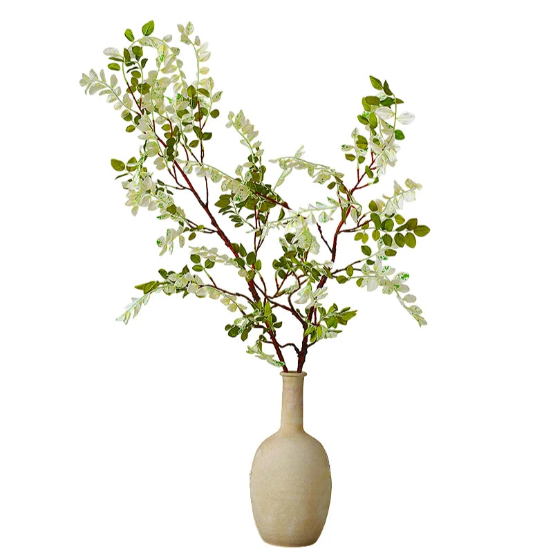 Sophora Branch