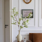 Sophora Branch